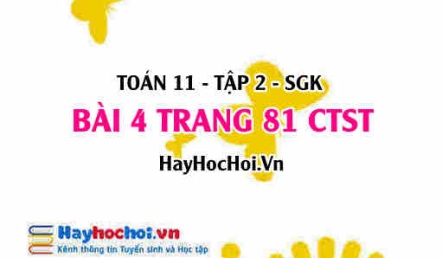 Bài 4 trang 81 Toán 11 tập 2 Chân trời sáng tạo